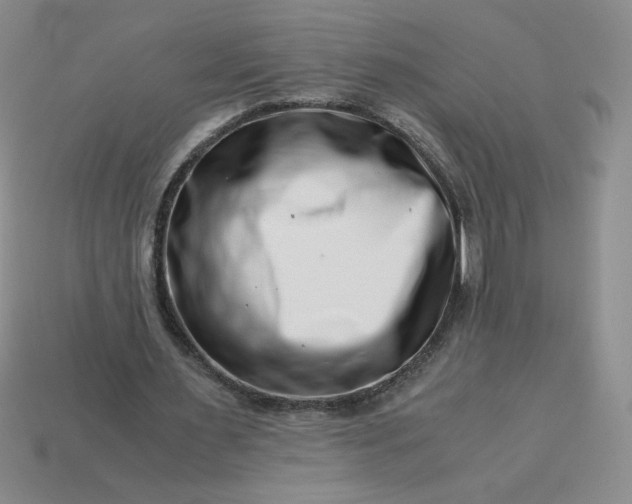 X0000113990483200910161650