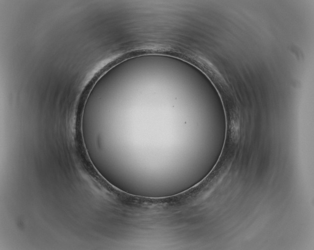 X0000113990484200910161650