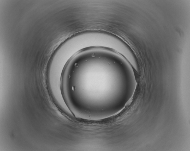 X0000113990485200910161650