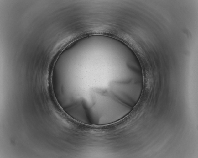 X0000113990486200910161650