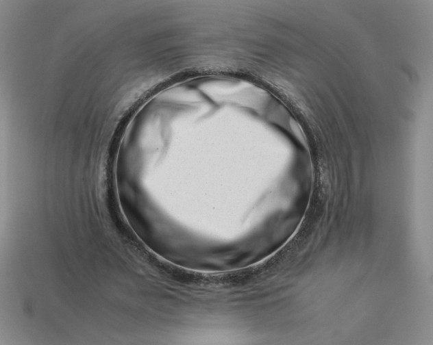 X0000113990487200910161650