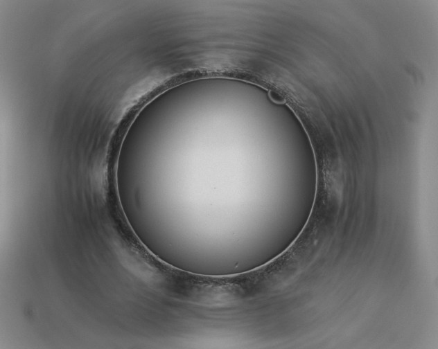 X0000113990488200910161650