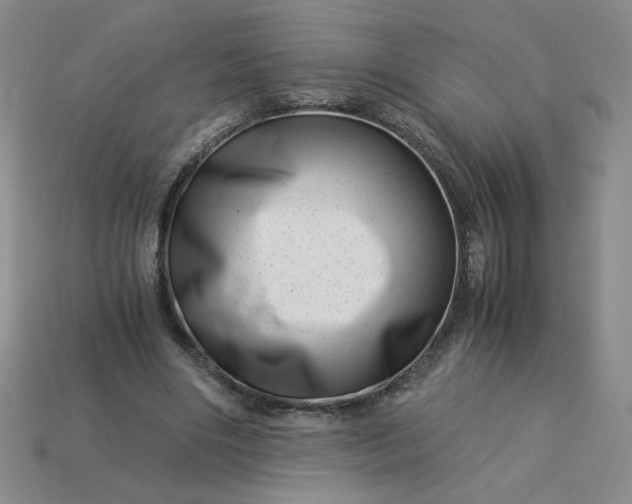 X0000113990490200910161650