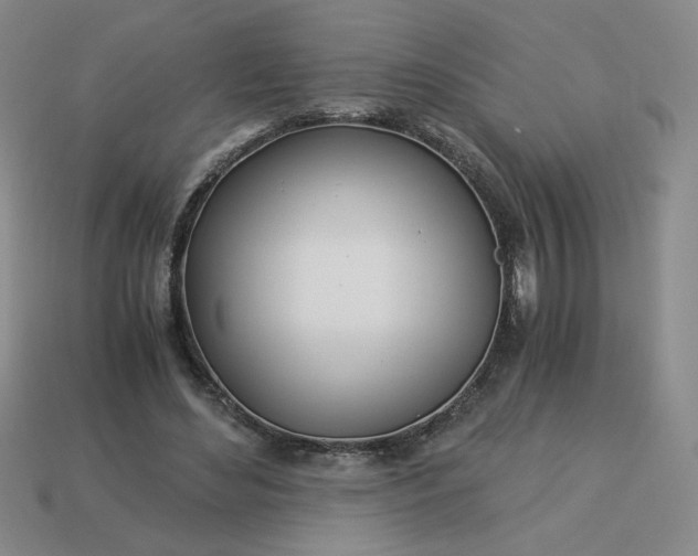 X0000113990492200910161650