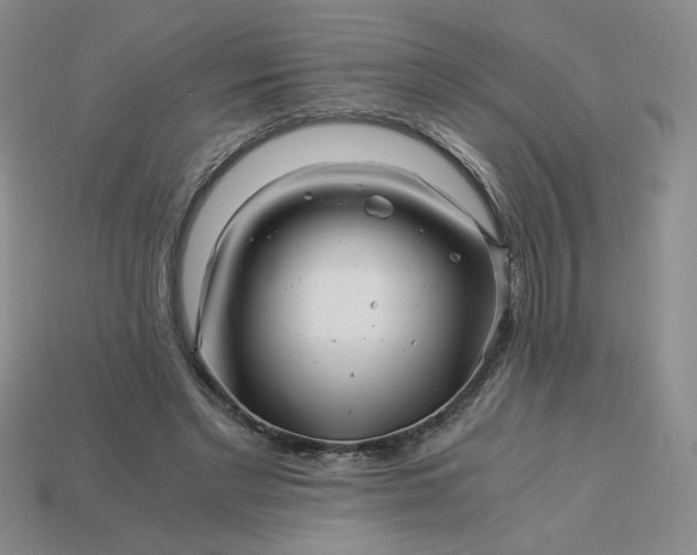 X0000113990493200910161650