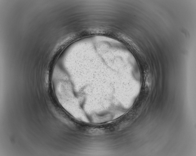 X0000113990494200910161650