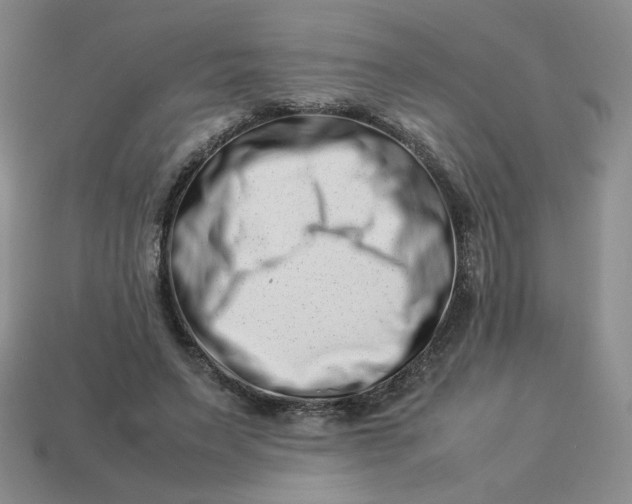 X0000113990495200910161650