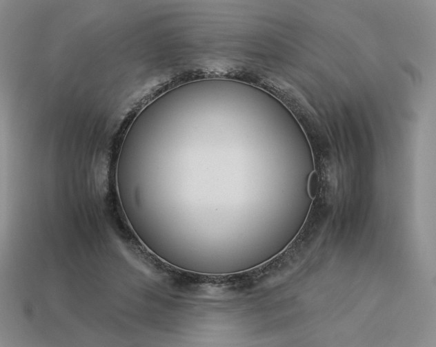 X0000113990496200910161650