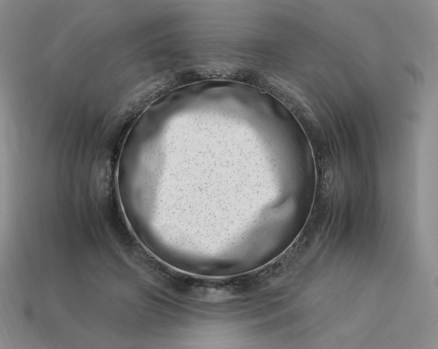 X0000113990498200910161650