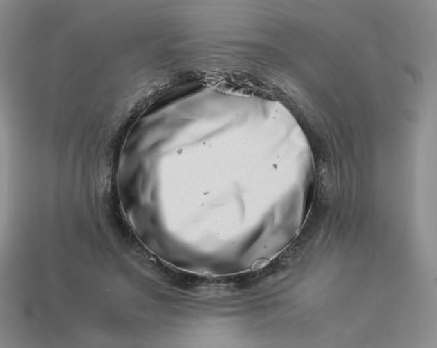 X0000113990499200910161650