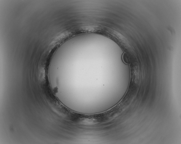 X0000113990500200910161650