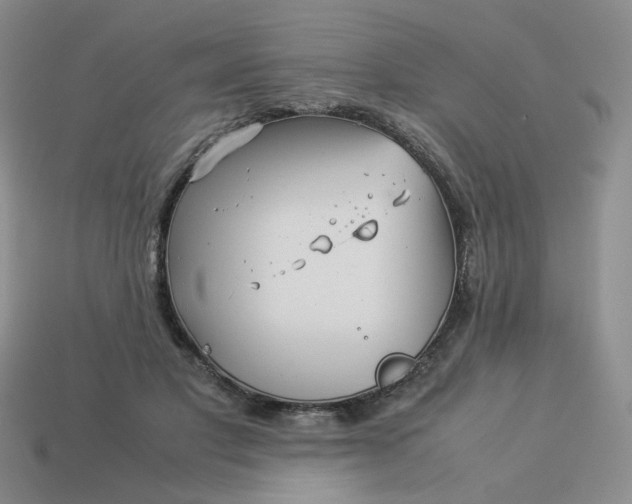 X0000113990501200910161650