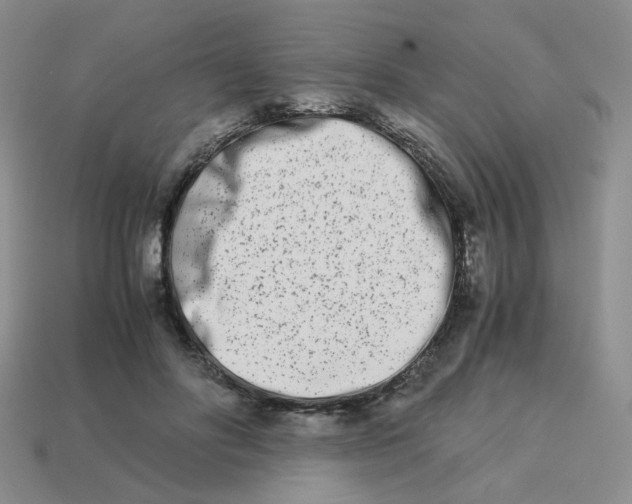 X0000113990502200910161650