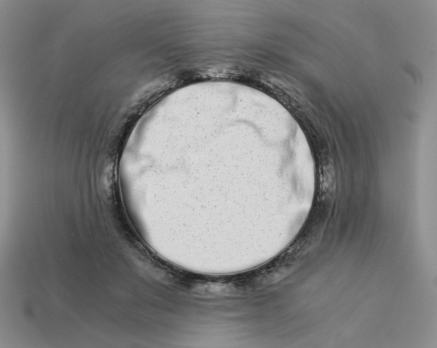 X0000113990503200910161650