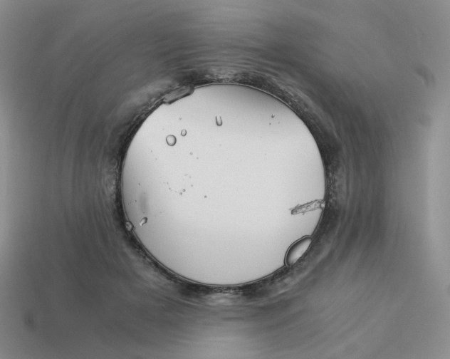 X0000113990505200910161650