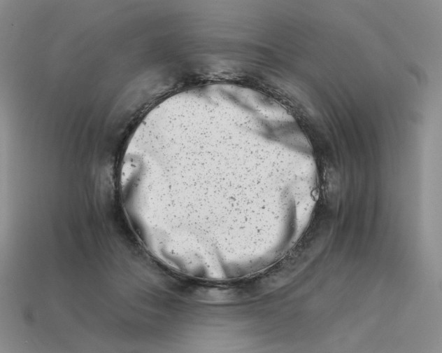 X0000113990506200910161650