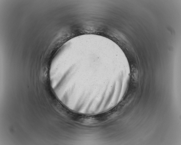 X0000113990507200910161650