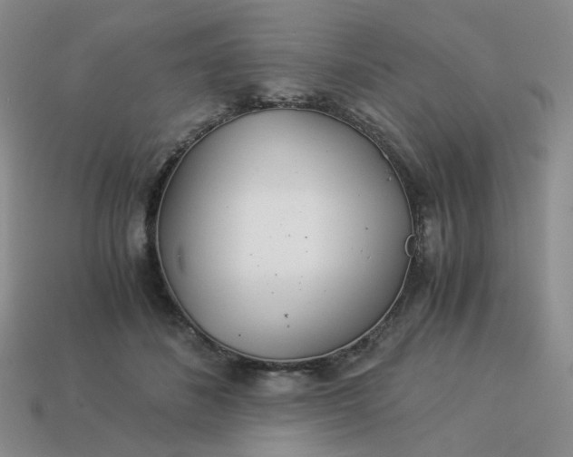 X0000113990508200910161650