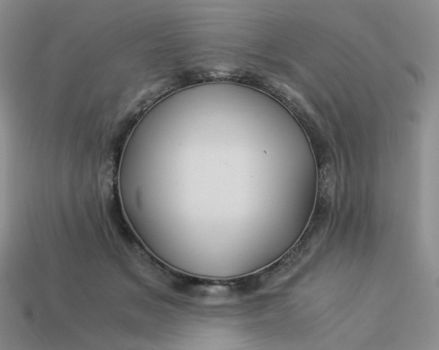 X0000113990509200910161650