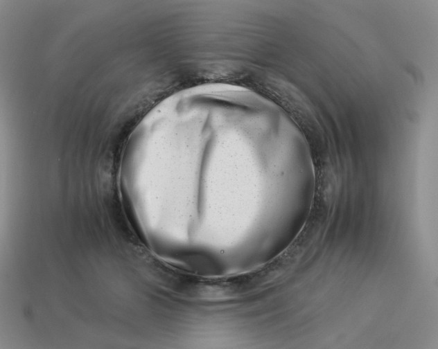 X0000113990510200910161650