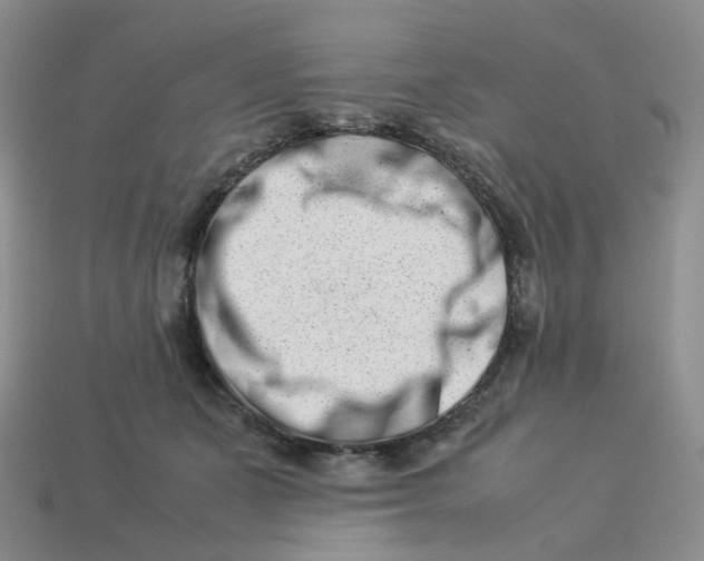 X0000113990511200910161650