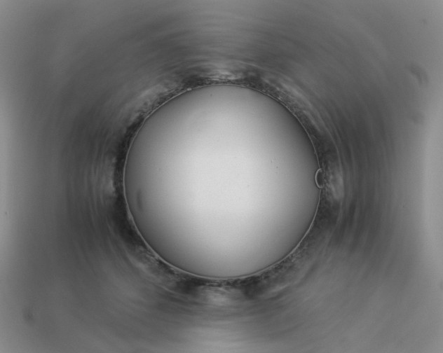 X0000113990512200910161650