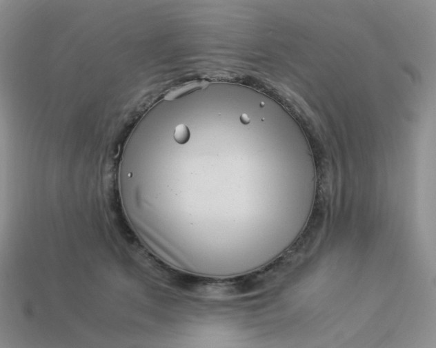 X0000113990513200910161650