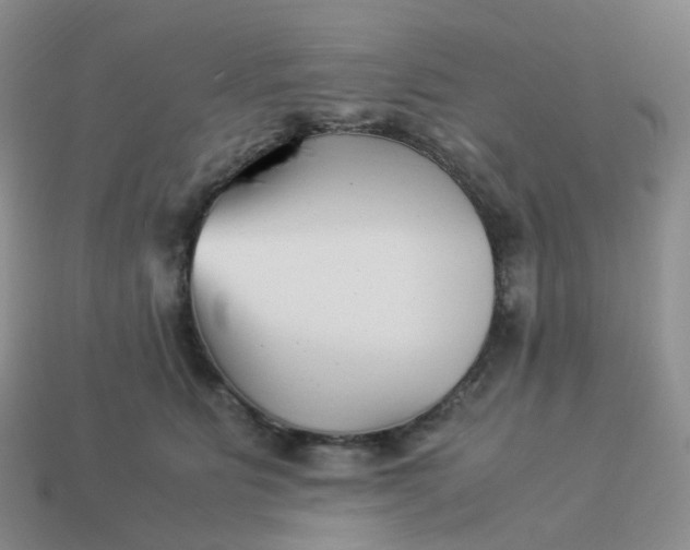 X0000113990515200910161650