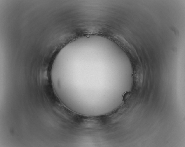 X0000113990516200910161650