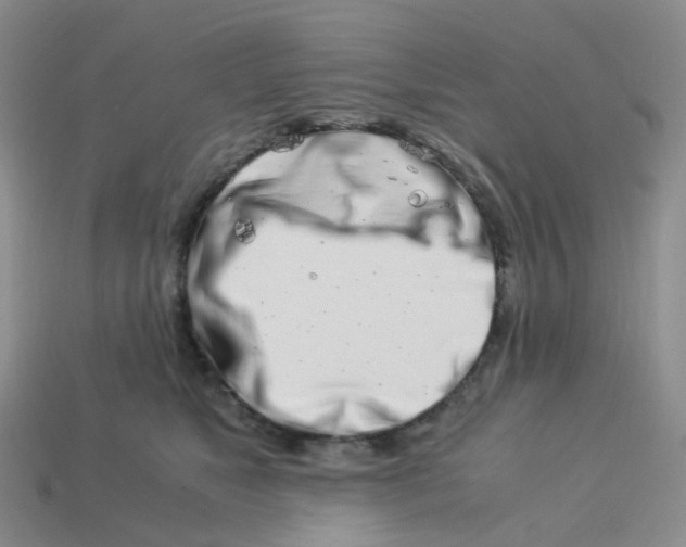 X0000113990517200910161650