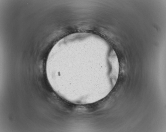 X0000113990519200910161650