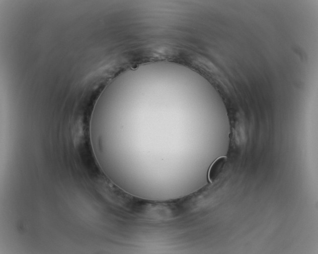 X0000113990520200910161650