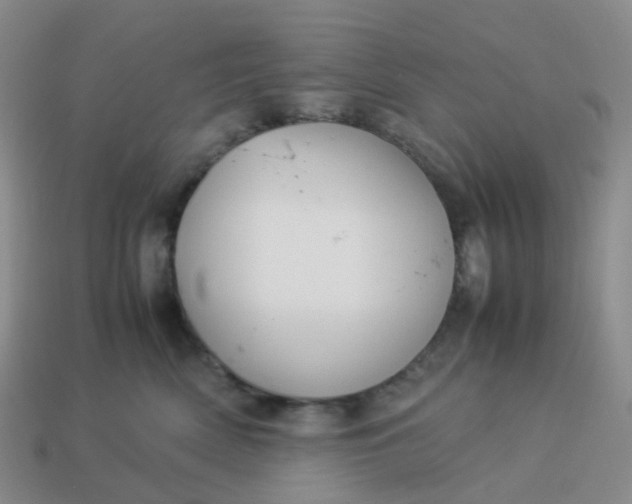 X0000113990522200910161650