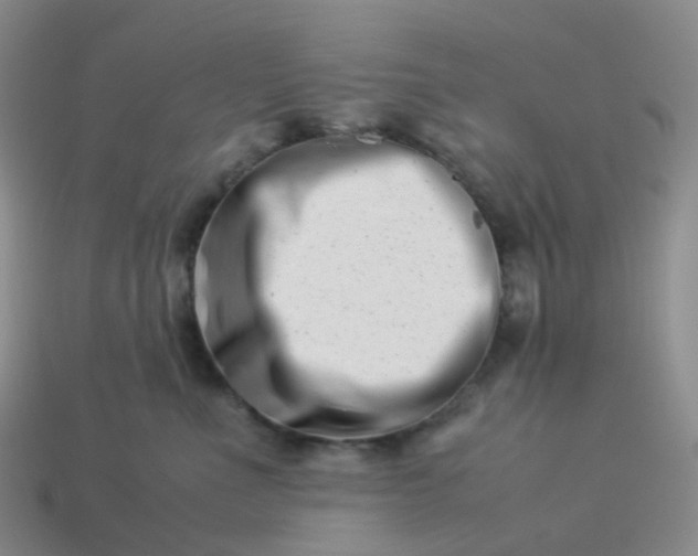 X0000113990523200910161650