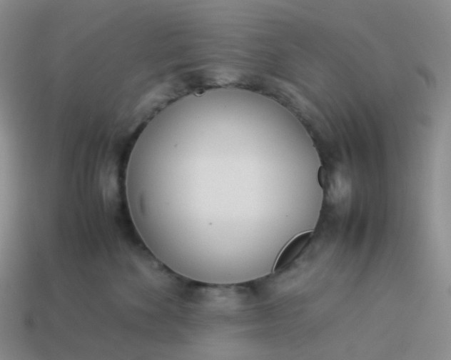 X0000113990524200910161650