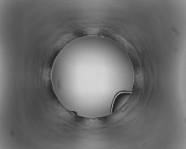 X0000113990525200910161650