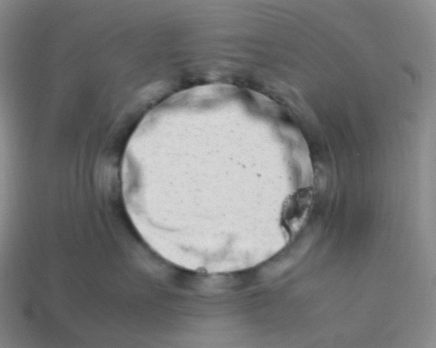 X0000113990527200910161650