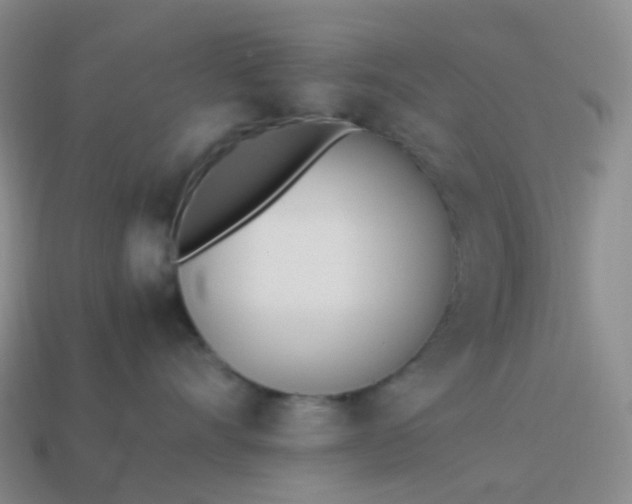 X0000113990528200910161649