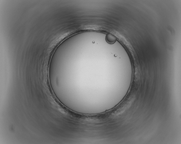 X0000113990529200910161649