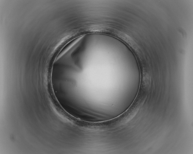 X0000113990530200910161649