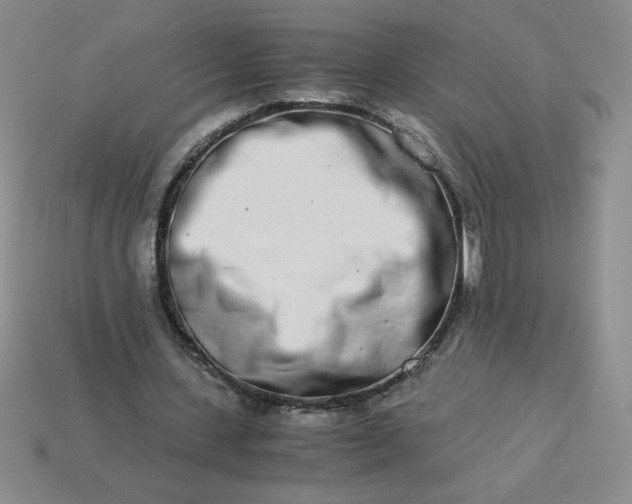 X0000113990531200910161649