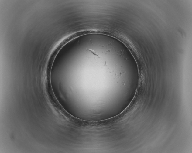 X0000113990532200910161649