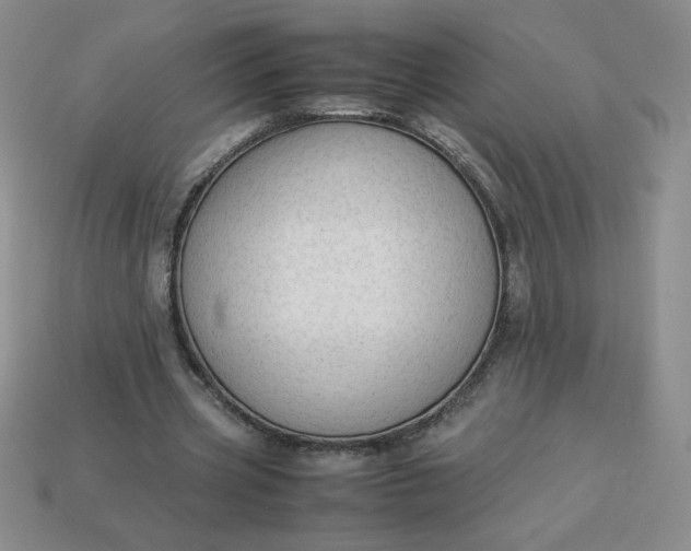 X0000113990533200910161649