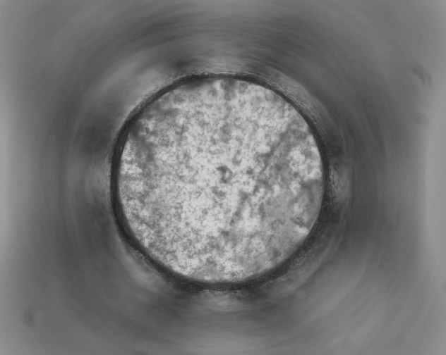 X0000113990534200910161649