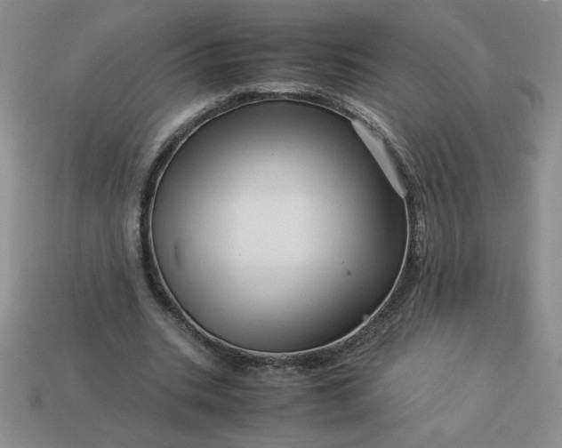 X0000113990535200910161649