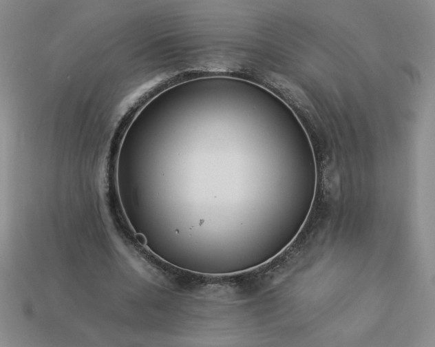 X0000113990536200910161649