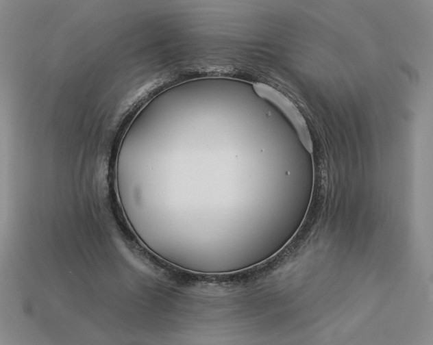 X0000113990538200910161649