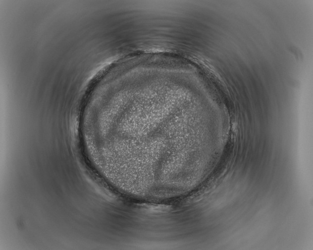 X0000113990539200910161649