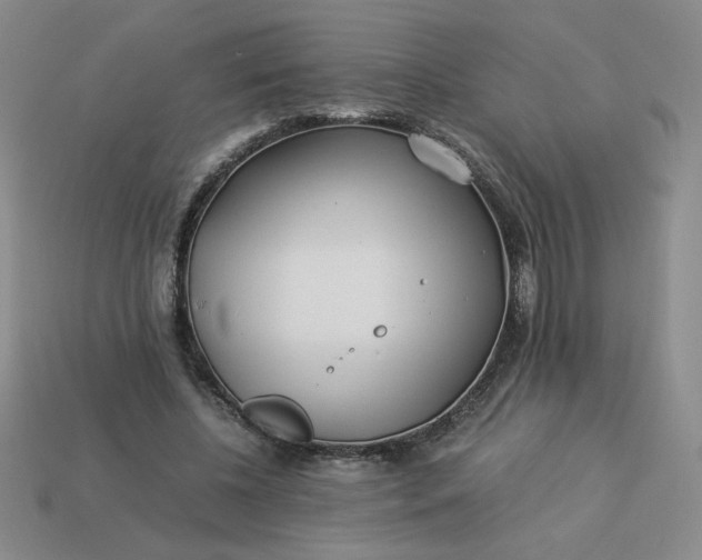 X0000113990540200910161649