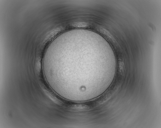 X0000113990541200910161649